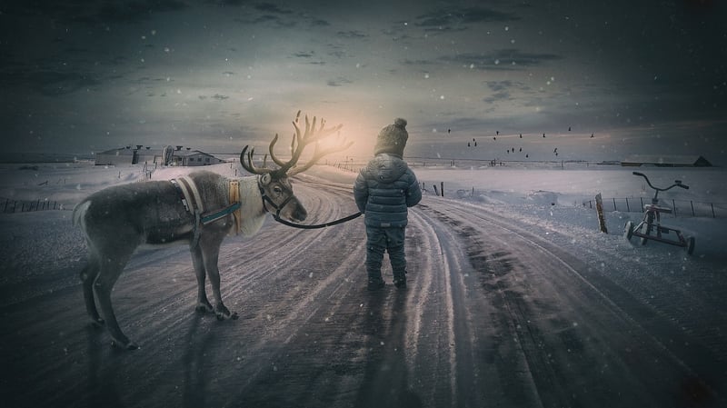 Dreams Image